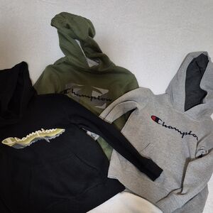 Bundle of Champion Hoodies - Black, Olive, Gray, Size Small